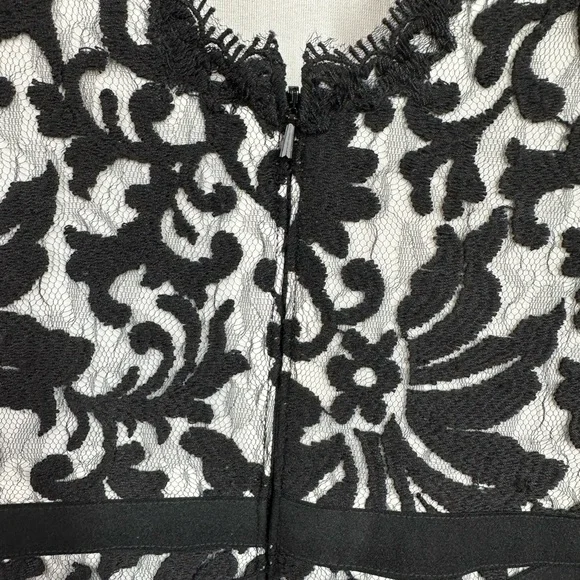 Tadashi Shoji Embroidered Lace V-Neck Dress Size 8 - coffeafoods.com